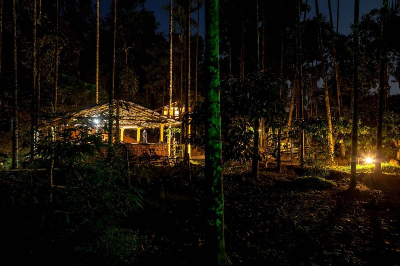 Vythiri Wood House Wayanad Villa Kültér fotó