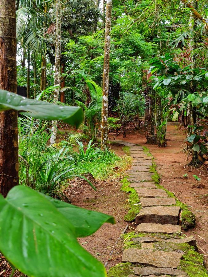 Vythiri Wood House Wayanad Villa Kültér fotó