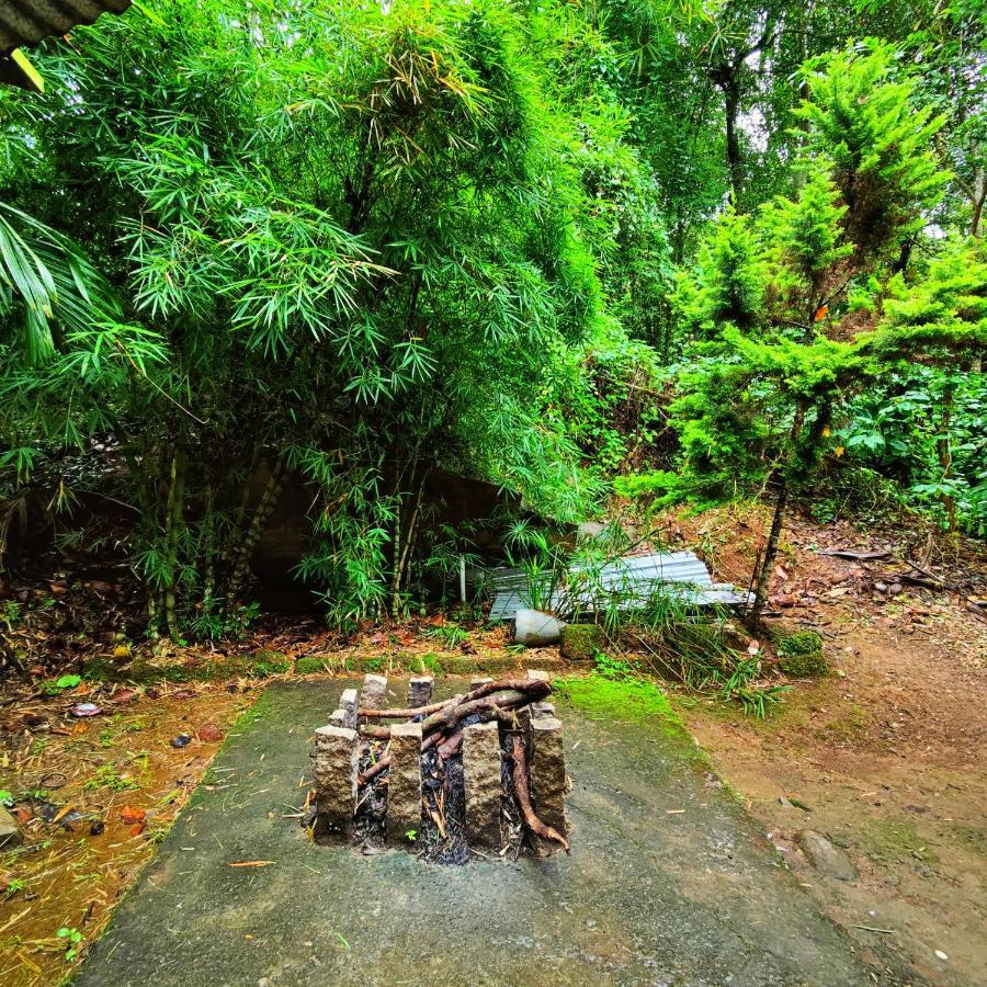 Vythiri Wood House Wayanad Villa Kültér fotó