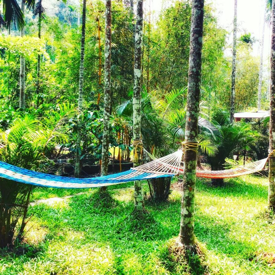 Vythiri Wood House Wayanad Villa Kültér fotó