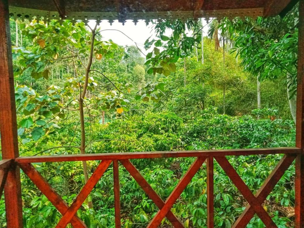 Vythiri Wood House Wayanad Villa Kültér fotó
