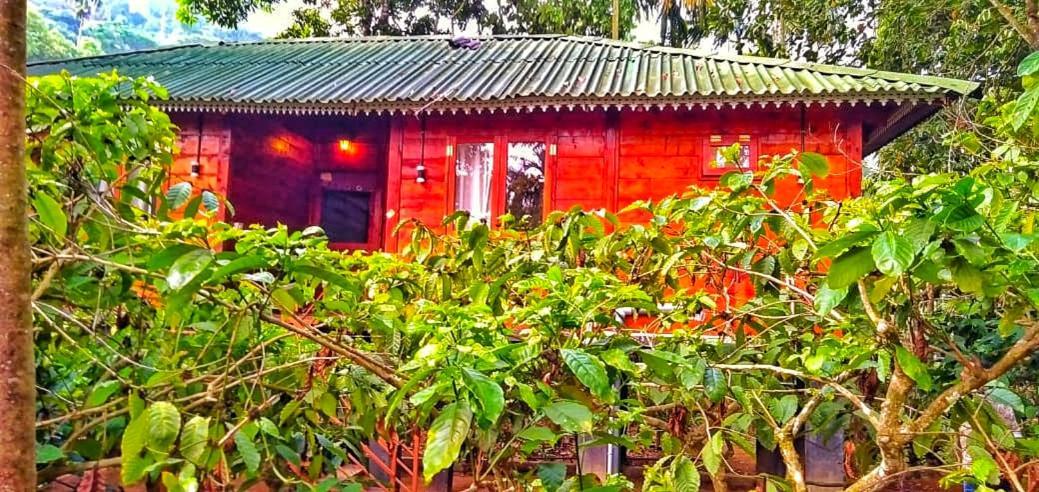 Vythiri Wood House Wayanad Villa Kültér fotó