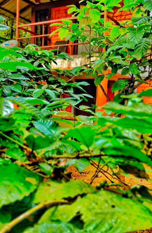 Vythiri Wood House Wayanad Villa Kültér fotó