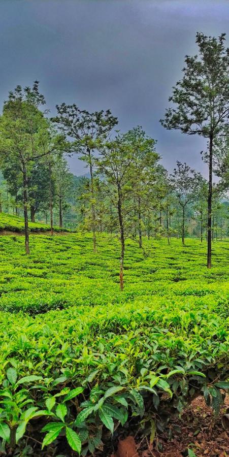 Vythiri Wood House Wayanad Villa Kültér fotó