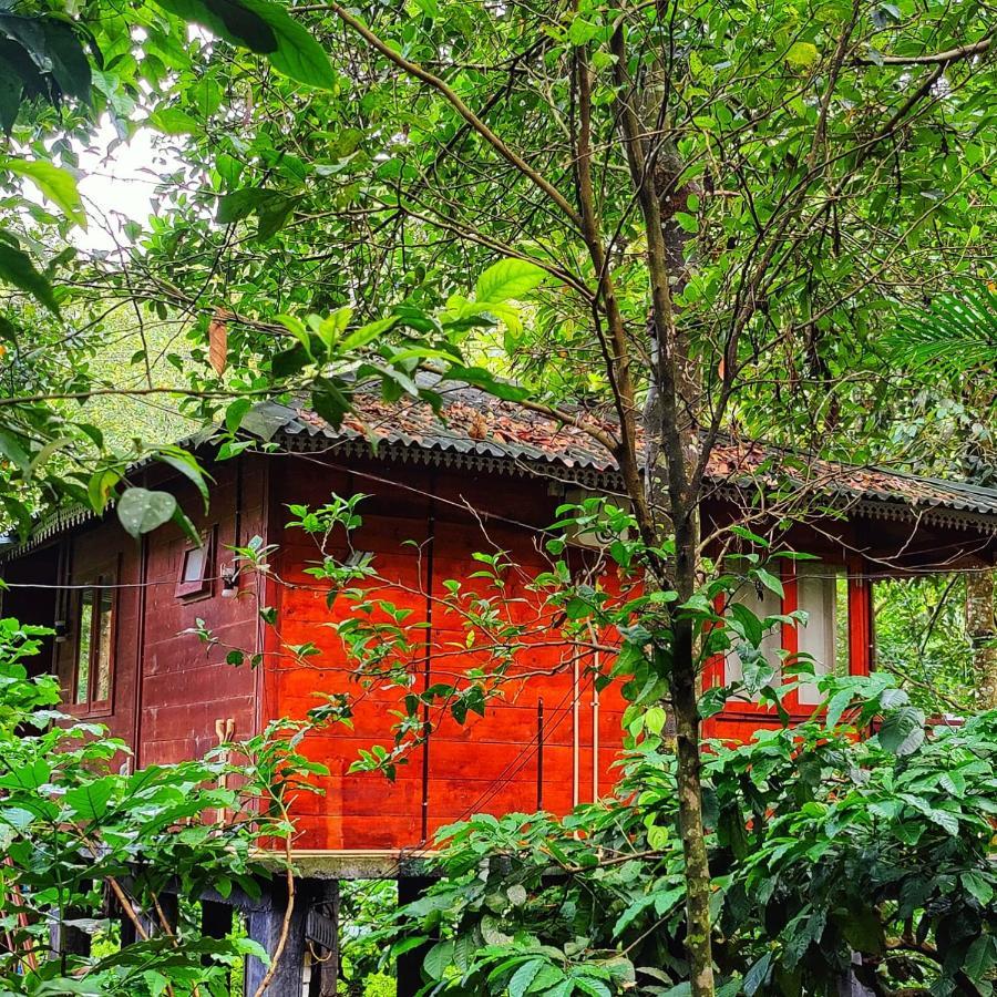 Vythiri Wood House Wayanad Villa Kültér fotó