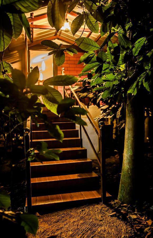 Vythiri Wood House Wayanad Villa Kültér fotó