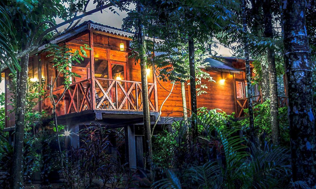 Vythiri Wood House Wayanad Villa Kültér fotó